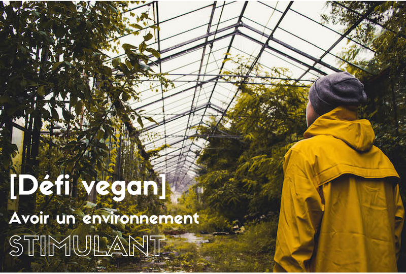 le-carnet-danne-so-defi-vegan-environnement-stimulant