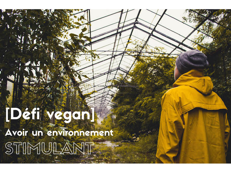 le-carnet-danne-so-defi-vegan-environnement-stimulant