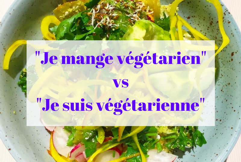 le-carnet-danne-so-vegetarien-vegan